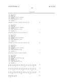 HETEROGENEOUS POLYPEPTIDE EXPRESSION CASSETTE diagram and image