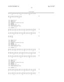 HETEROGENEOUS POLYPEPTIDE EXPRESSION CASSETTE diagram and image