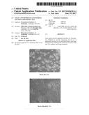 STRAIN AND BIOPROCESS ENGINEERING FOR HIGH LIPID PRODUCTION diagram and image