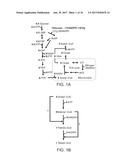 STRAIN AND BIOPROCESS ENGINEERING FOR HIGH LIPID PRODUCTION diagram and image