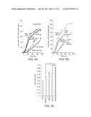 STRAIN AND BIOPROCESS ENGINEERING FOR HIGH LIPID PRODUCTION diagram and image