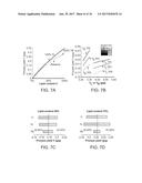 STRAIN AND BIOPROCESS ENGINEERING FOR HIGH LIPID PRODUCTION diagram and image