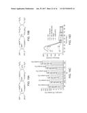 STRAIN AND BIOPROCESS ENGINEERING FOR HIGH LIPID PRODUCTION diagram and image