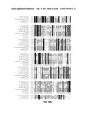 PLANTS WITH IMPROVED AGRONOMIC TRAITS diagram and image