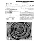 MEDICAL IMAGE PROCESSING APPARATUS diagram and image