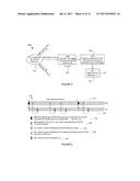 METHOD AND APPARATUS FOR CHANNEL STATE INFORMATION REFERENCE SIGNAL     (CSI-RS) diagram and image