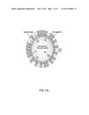 INFLUENZA VACCINES AND METHODS OF USE THEREOF diagram and image