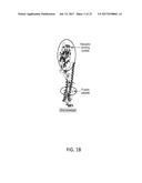 INFLUENZA VACCINES AND METHODS OF USE THEREOF diagram and image