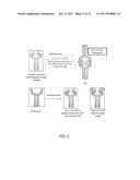 INFLUENZA VACCINES AND METHODS OF USE THEREOF diagram and image