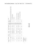 CHITOSAN SUPERFINE FIBER SYSTEMS diagram and image