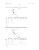 DIFLUOROLACTAM COMPOSITIONS FOR EP4-MEDIATED OSTEO RELATED DISEASES AND     CONDTIONS diagram and image