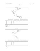 DIFLUOROLACTAM COMPOSITIONS FOR EP4-MEDIATED OSTEO RELATED DISEASES AND     CONDTIONS diagram and image