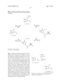 DIFLUOROLACTAM COMPOSITIONS FOR EP4-MEDIATED OSTEO RELATED DISEASES AND     CONDTIONS diagram and image