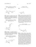 DIFLUOROLACTAM COMPOSITIONS FOR EP4-MEDIATED OSTEO RELATED DISEASES AND     CONDTIONS diagram and image