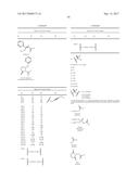 DIFLUOROLACTAM COMPOSITIONS FOR EP4-MEDIATED OSTEO RELATED DISEASES AND     CONDTIONS diagram and image