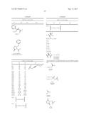 DIFLUOROLACTAM COMPOSITIONS FOR EP4-MEDIATED OSTEO RELATED DISEASES AND     CONDTIONS diagram and image