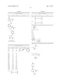 DIFLUOROLACTAM COMPOSITIONS FOR EP4-MEDIATED OSTEO RELATED DISEASES AND     CONDTIONS diagram and image