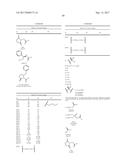 DIFLUOROLACTAM COMPOSITIONS FOR EP4-MEDIATED OSTEO RELATED DISEASES AND     CONDTIONS diagram and image