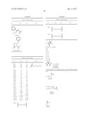 DIFLUOROLACTAM COMPOSITIONS FOR EP4-MEDIATED OSTEO RELATED DISEASES AND     CONDTIONS diagram and image