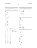 DIFLUOROLACTAM COMPOSITIONS FOR EP4-MEDIATED OSTEO RELATED DISEASES AND     CONDTIONS diagram and image