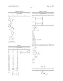 DIFLUOROLACTAM COMPOSITIONS FOR EP4-MEDIATED OSTEO RELATED DISEASES AND     CONDTIONS diagram and image