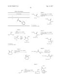 DIFLUOROLACTAM COMPOSITIONS FOR EP4-MEDIATED OSTEO RELATED DISEASES AND     CONDTIONS diagram and image