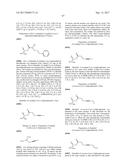 DIFLUOROLACTAM COMPOSITIONS FOR EP4-MEDIATED OSTEO RELATED DISEASES AND     CONDTIONS diagram and image