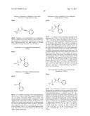 DIFLUOROLACTAM COMPOSITIONS FOR EP4-MEDIATED OSTEO RELATED DISEASES AND     CONDTIONS diagram and image