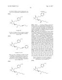 DIFLUOROLACTAM COMPOSITIONS FOR EP4-MEDIATED OSTEO RELATED DISEASES AND     CONDTIONS diagram and image