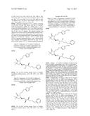 DIFLUOROLACTAM COMPOSITIONS FOR EP4-MEDIATED OSTEO RELATED DISEASES AND     CONDTIONS diagram and image