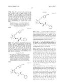 DIFLUOROLACTAM COMPOSITIONS FOR EP4-MEDIATED OSTEO RELATED DISEASES AND     CONDTIONS diagram and image