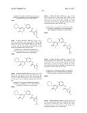 BIARYL AMIDE COMPOUNDS AS KINASE INHIBITORS diagram and image