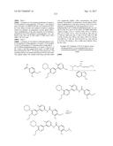 BIARYL AMIDE COMPOUNDS AS KINASE INHIBITORS diagram and image