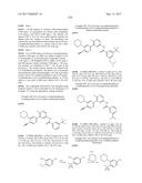 BIARYL AMIDE COMPOUNDS AS KINASE INHIBITORS diagram and image