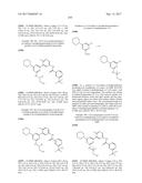 BIARYL AMIDE COMPOUNDS AS KINASE INHIBITORS diagram and image