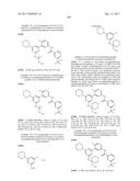 BIARYL AMIDE COMPOUNDS AS KINASE INHIBITORS diagram and image