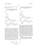 BIARYL AMIDE COMPOUNDS AS KINASE INHIBITORS diagram and image