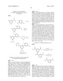 BIARYL AMIDE COMPOUNDS AS KINASE INHIBITORS diagram and image