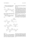 BIARYL AMIDE COMPOUNDS AS KINASE INHIBITORS diagram and image