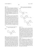 BIARYL AMIDE COMPOUNDS AS KINASE INHIBITORS diagram and image