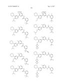 BIARYL AMIDE COMPOUNDS AS KINASE INHIBITORS diagram and image