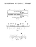 MANAGING STORAGE PROTECTION FAULTS diagram and image