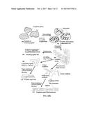 PROCESS FOR GRAPHENE FOAM-PROTECTED ANODE ACTIVE MATERIALS FOR LITHIUM     BATTERIES diagram and image