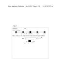 Apparatus for Power Distribution, Environment Monitoring and Fire     Protection for Rack-Mounted Equipment diagram and image