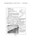 APPARATUS AND METHOD FOR ASSESSING TOOTH-SENSITIVITY TREATMENT BY     ORAL-CARE PRODUCT diagram and image