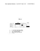 SYSTEMS FOR COMMUNICATING USING MULTIPLE FREQUENCY BANDS IN A WIRELESS     NETWORK diagram and image