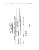 RADIO BASE STATION, USER TERMINAL AND RADIO COMMUNICATION METHOD diagram and image