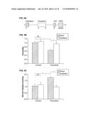 SYSTEM, METHOD AND APPLICATIONS INVOLVING IDENTIFICATION OF BIOLOGICAL     CIRCUITS SUCH AS NEUROLOGICAL CHARACTERISTICS diagram and image