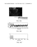 SYSTEM, METHOD AND APPLICATIONS INVOLVING IDENTIFICATION OF BIOLOGICAL     CIRCUITS SUCH AS NEUROLOGICAL CHARACTERISTICS diagram and image