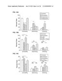 SYSTEM, METHOD AND APPLICATIONS INVOLVING IDENTIFICATION OF BIOLOGICAL     CIRCUITS SUCH AS NEUROLOGICAL CHARACTERISTICS diagram and image